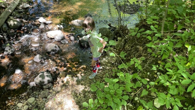 Upper Goose Pond Trail/AT Parking - Lee, MA