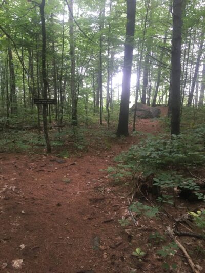 Curtis Homestead Conservation Area - Leeds, ME