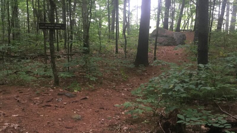 Curtis Homestead Conservation Area - Leeds, ME