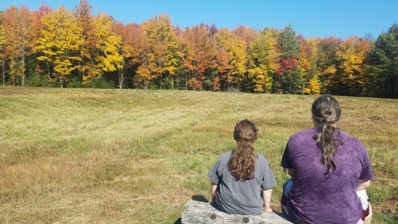 Curtis Homestead Conservation Area - Leeds, ME