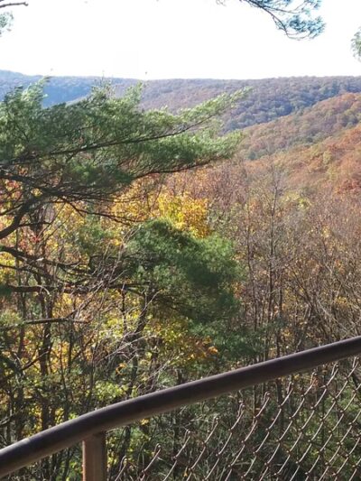 Leeper Flea Market (parking) - Leeper, PA