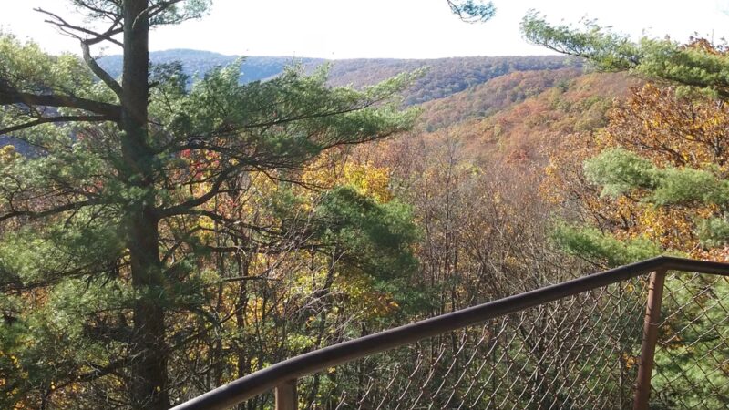 Leeper Flea Market (parking) - Leeper, PA