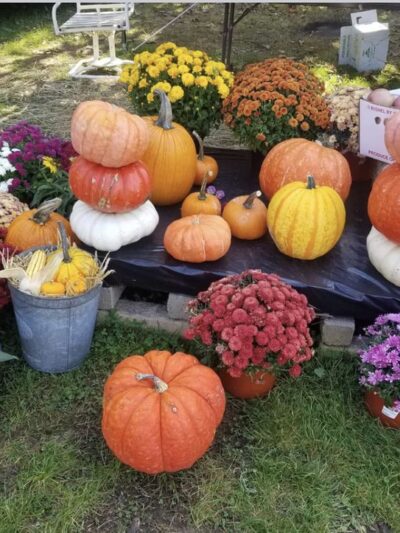 Leeper Flea Market (parking) - Leeper, PA