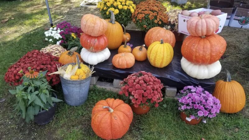 Leeper Flea Market (parking) - Leeper, PA