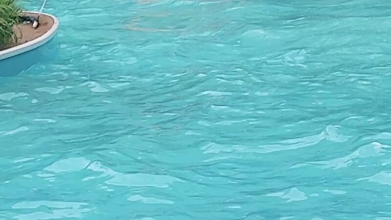 Cook Forest Fun Park - Leeper, PA