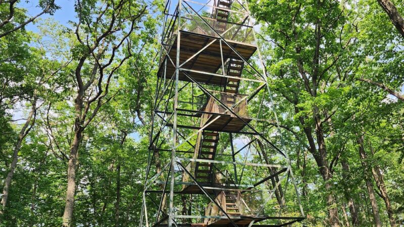 Cook Forest State Park - Leeper, PA