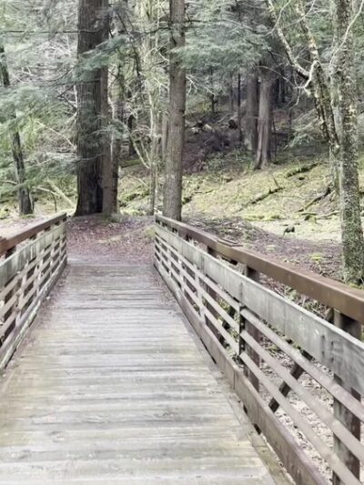 Cook Forest State Park - Leeper, PA
