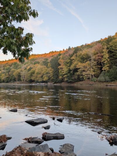 Cook Forest State Park - Leeper, PA