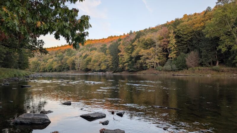 Cook Forest State Park - Leeper, PA