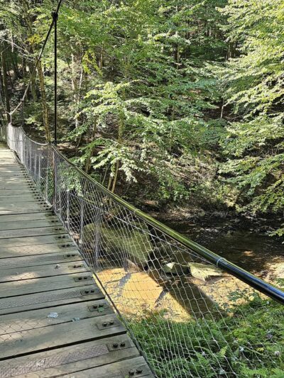Cook Forest Swinging Bridge - Leeper, PA