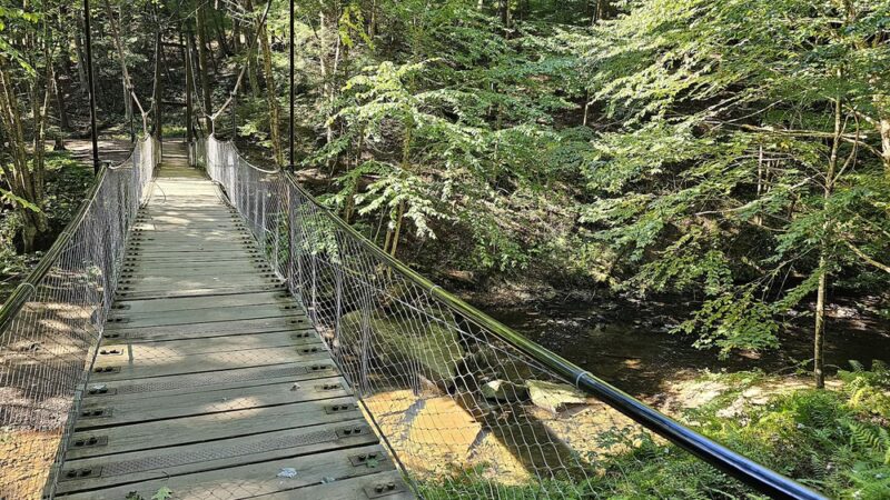 Cook Forest Swinging Bridge - Leeper, PA