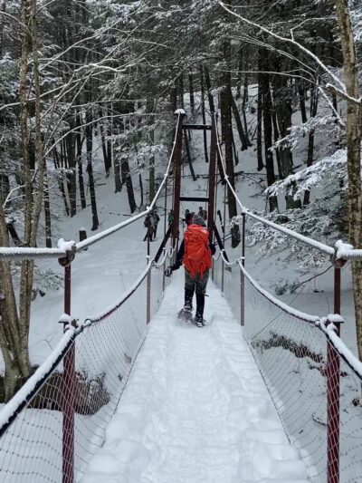 Cook Forest Swinging Bridge - Leeper, PA