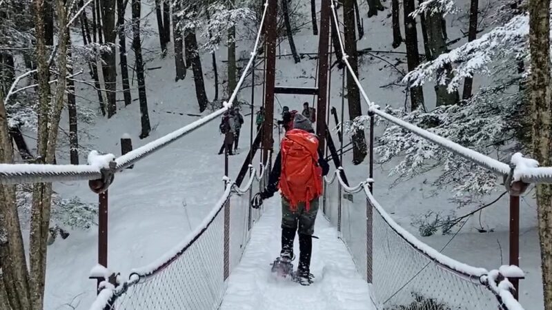 Cook Forest Swinging Bridge - Leeper, PA
