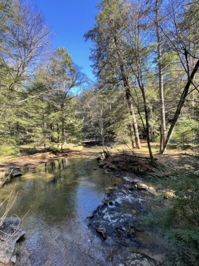 Cook Forest Swinging Bridge - Leeper, PA