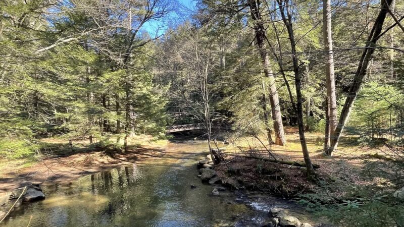 Cook Forest Swinging Bridge - Leeper, PA