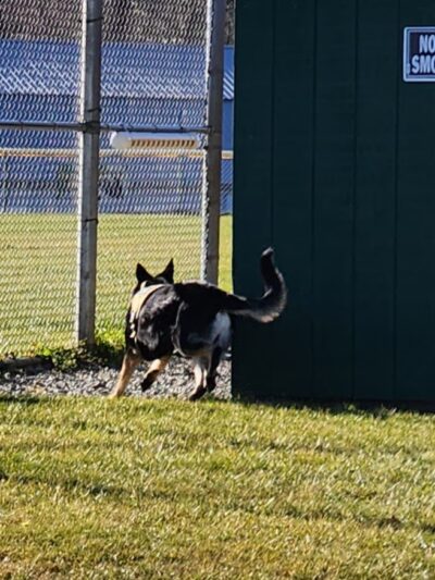 Farmington Township Park - Leeper, PA