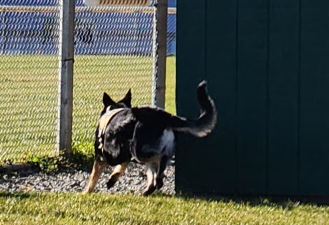 Farmington Township Park - Leeper, PA