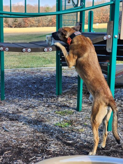 Farmington Township Park - Leeper, PA