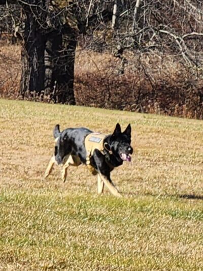 Farmington Township Park - Leeper, PA