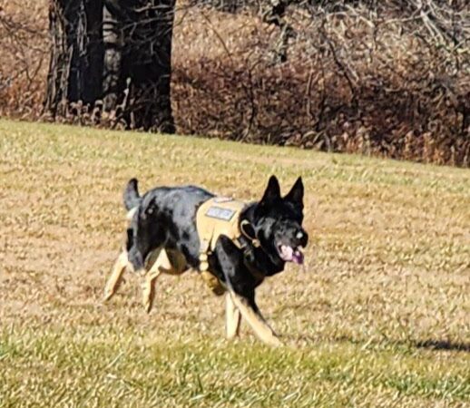 Farmington Township Park - Leeper, PA