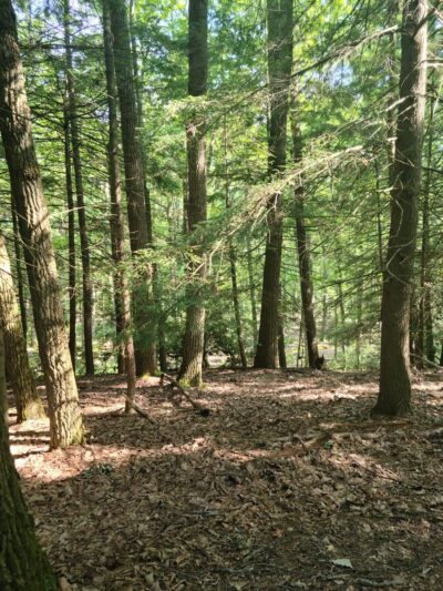 Historic Fire Tower #9 - Leeper, PA