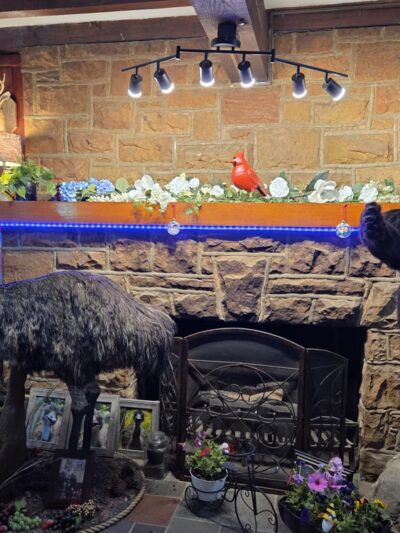 Knotty Pines - Leeper, PA