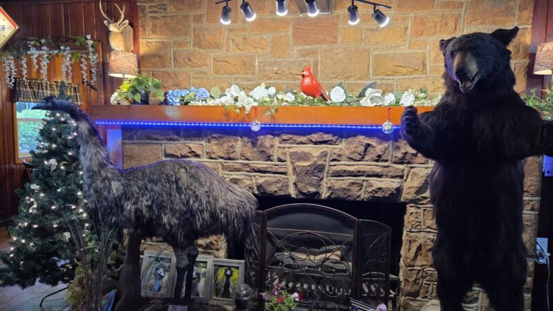 Knotty Pines - Leeper, PA