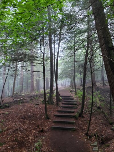 North Country National Scenic Trail Trailhead - Leeper, PA