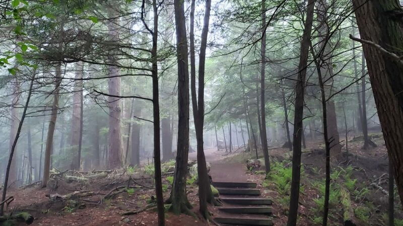 North Country National Scenic Trail Trailhead - Leeper, PA