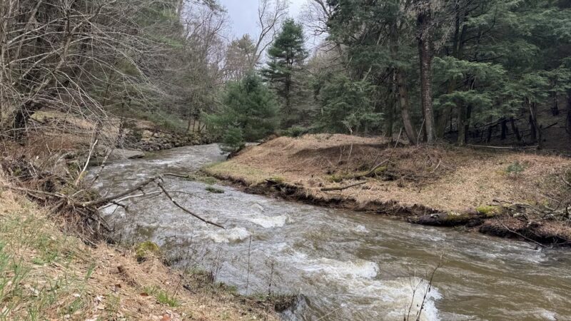 North Country National Scenic Trail Trailhead - Leeper, PA