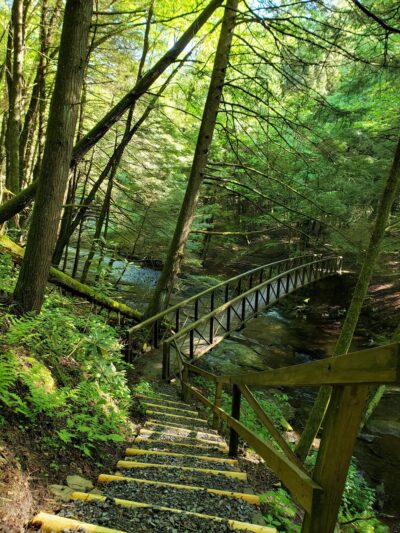 North Country National Scenic Trail Trailhead - Leeper, PA