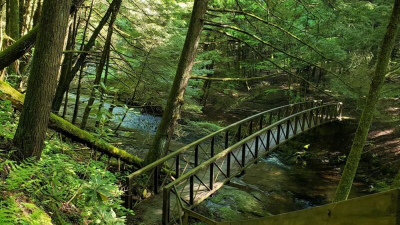 North Country National Scenic Trail Trailhead - Leeper, PA