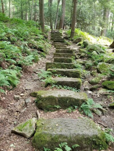 North Country National Scenic Trail Trailhead - Leeper, PA