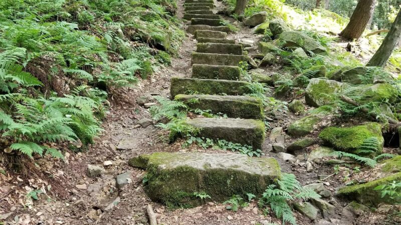 North Country National Scenic Trail Trailhead - Leeper, PA