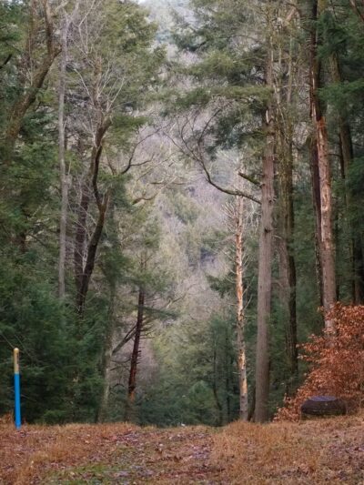 Ridge Campground At Cook Forest - Leeper, PA