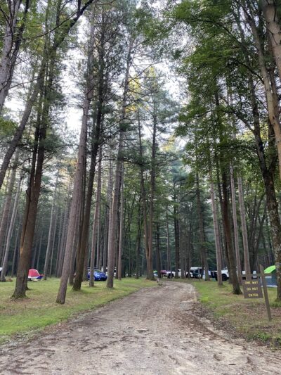 Ridge Campground At Cook Forest - Leeper, PA