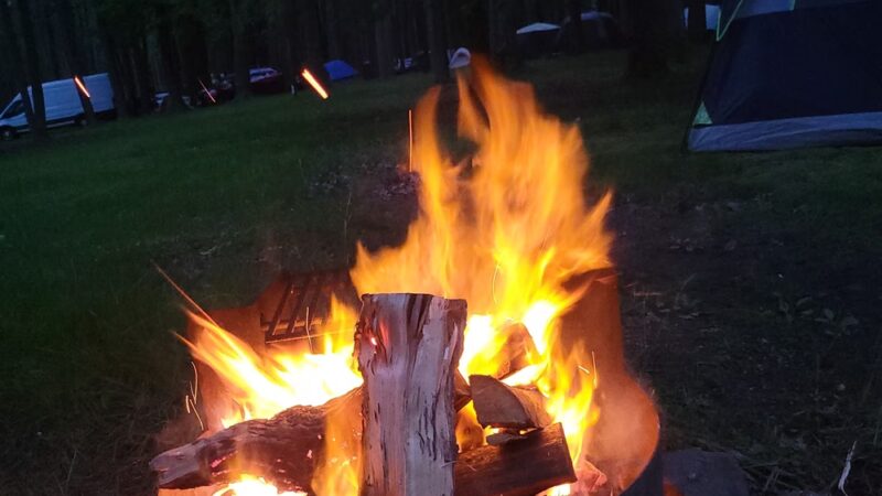 Ridge Campground At Cook Forest - Leeper, PA