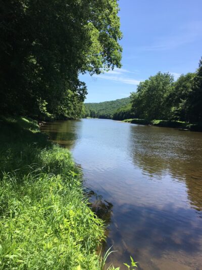 Trailhead For Bakers/ North Country Trail - Leeper, PA