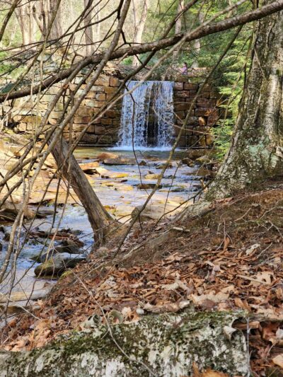 Trailhead For Bakers/ North Country Trail - Leeper, PA
