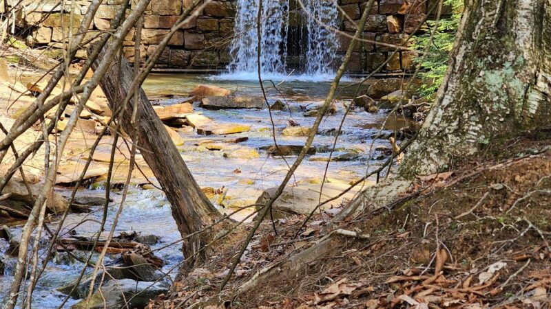Trailhead For Bakers/ North Country Trail - Leeper, PA