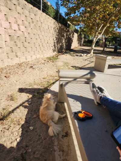 Dog Park - Lemon Grove, CA