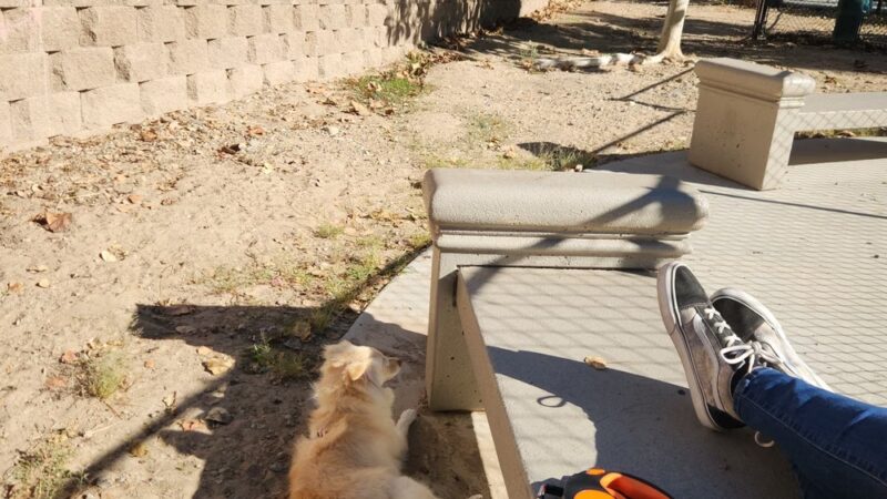 Dog Park - Lemon Grove, CA