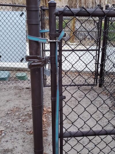 Dog Park - Lemon Grove, CA