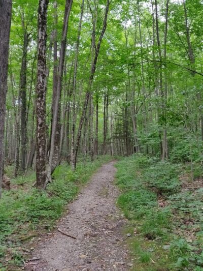 Kennedy Park - Lenox, MA