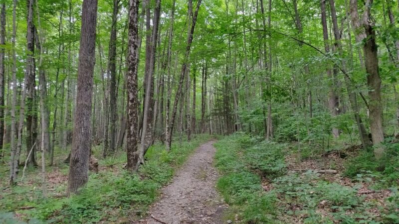 Kennedy Park - Lenox, MA