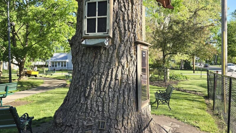 Cedarville Park - Leo, IN