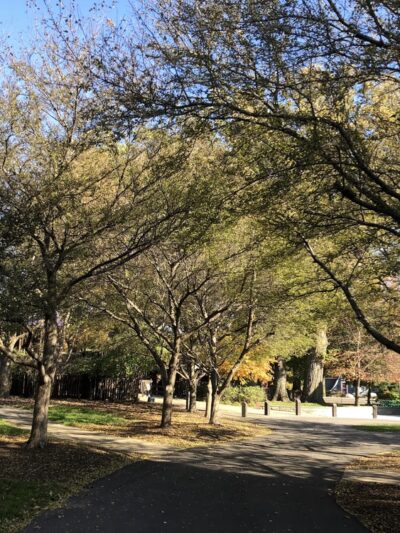 Cedarville Park - Leo, IN