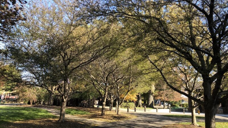 Cedarville Park - Leo, IN