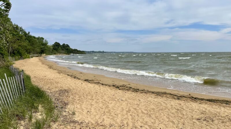 Newtowne Neck State Park - Leonardtown, MD