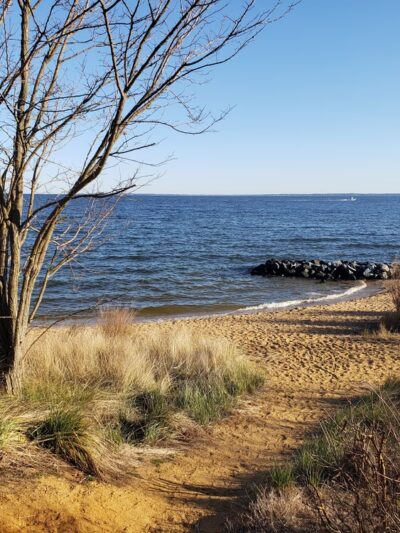 Newtowne Neck State Park - Leonardtown, MD